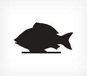 Fish shaped blackboard