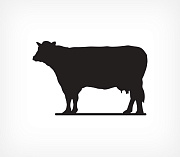 Cow shaped blackboard